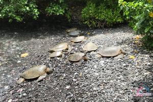 Original 3000 px/ 2000 px