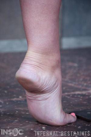 Original 795 px/ 1200 px