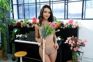 Original 7952 px/ 5304 px