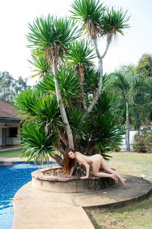 Original 3992 px/ 6000 px