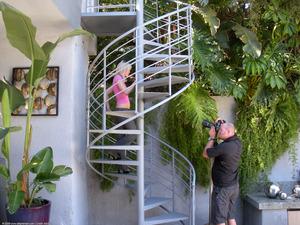 Original 1536 px/ 1152 px