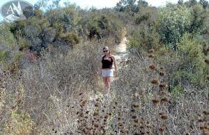 Original 800 px/ 518 px