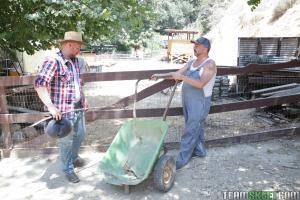 Original 1620 px/ 1080 px