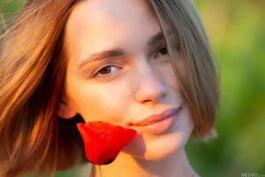 Original 5760 px/ 3840 px