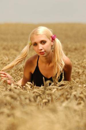 Original 852 px/ 1280 px