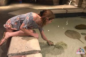 Original 3000 px/ 2000 px