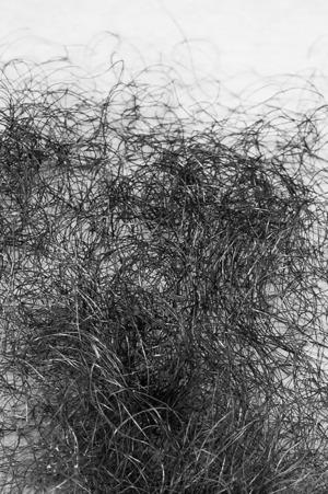 Original 525 px/ 790 px