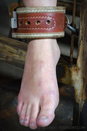 Original 795 px/ 1200 px