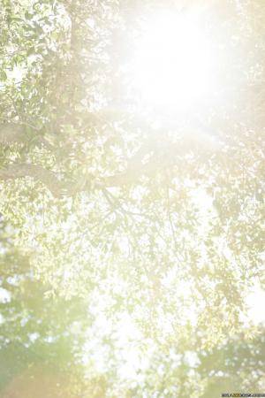 Original 1663 px/ 2495 px