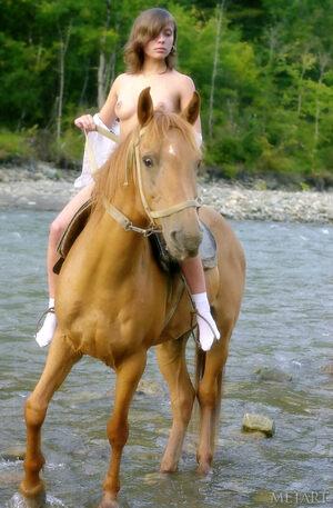 Original 1312 px/ 2000 px