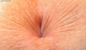 Original 1900 px/ 1100 px