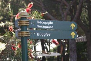 Original 1280 px/ 853 px