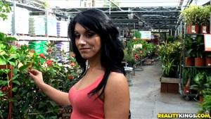 Original 3840 px/ 2160 px