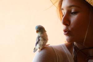 Original 1920 px/ 1280 px