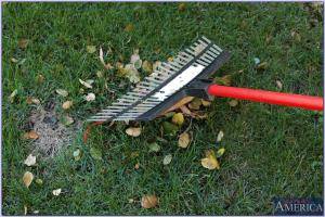 Original 1000 px/ 669 px