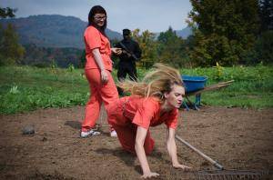 Original 1200 px/ 794 px