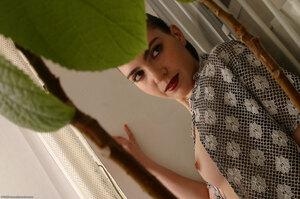 Original 1536 px/ 1020 px