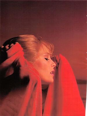 Original 2421 px/ 3246 px