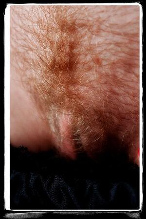 Original 2336 px/ 3504 px