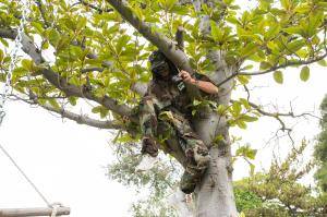 Original 2499 px/ 1663 px