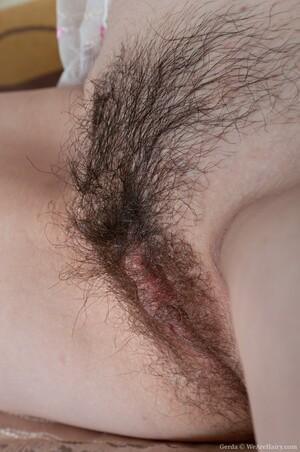 Original 1993 px/ 3000 px