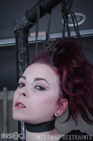 Original 795 px/ 1200 px