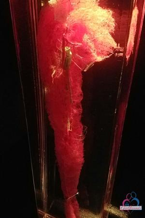 Original 1138 px/ 1707 px