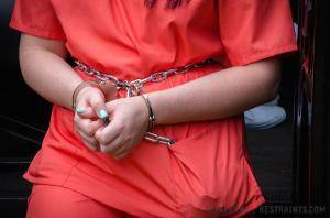 Original 1200 px/ 795 px