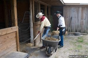 Original 800 px/ 533 px