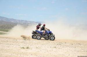 Original 2499 px/ 1663 px