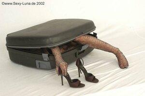 Original 800 px/ 531 px