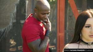 Original 2500 px/ 1406 px