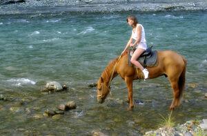 Original 2000 px/ 1312 px