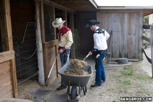 Original 800 px/ 533 px