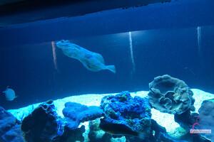 Original 3000 px/ 2000 px