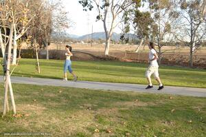 Original 2000 px/ 1329 px