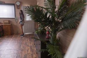 Original 2495 px/ 1663 px