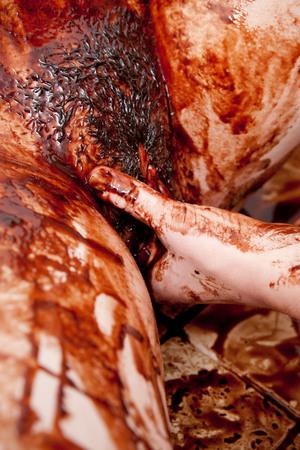 Original 2592 px/ 3888 px