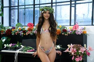 Original 7952 px/ 5304 px