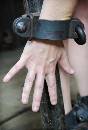 Original 807 px/ 1200 px