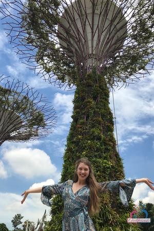 Original 2000 px/ 3000 px