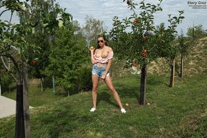 Original 1600 px/ 1067 px