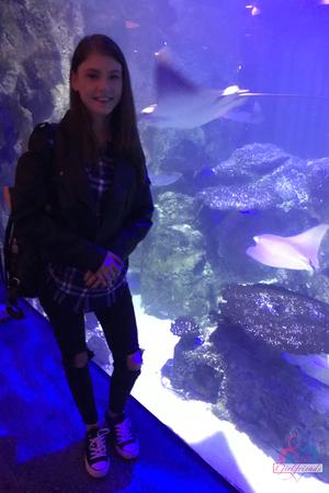 Original 2000 px/ 3000 px