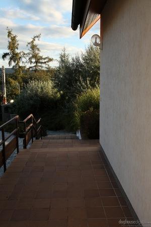 #Doghousedigital rachel evans blow him and then you can fuck me