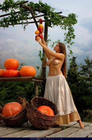 Original 2048 px/ 3128 px