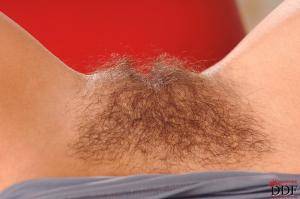 Original 2000 px/ 1329 px