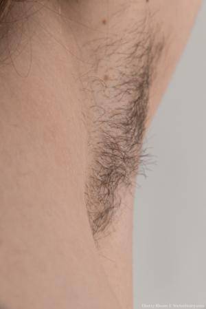 Original 854 px/ 1280 px