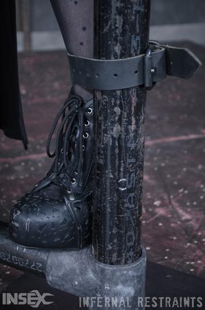 Original 795 px/ 1200 px