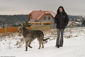 Original 1536 px/ 1024 px