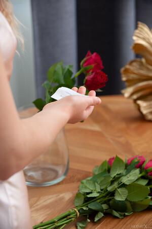 Original 852 px/ 1280 px